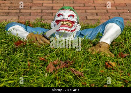 Una decorazione creepy ma originale di Halloween messo nel cortile anteriore di una casa. Un modello in plastica a forma di un clown killer non morto che sta crescendo da hi Foto Stock