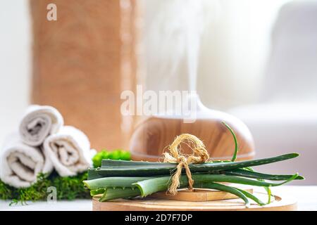 Composizione Spa con l'aroma di un moderno diffusore d'olio con prodotti per la cura del corpo . Asciugamani bianchi intrecciati e aloe vera . Il concetto di benessere per bo Foto Stock