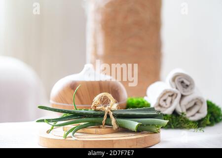 Composizione Spa con l'aroma di un moderno diffusore d'olio con prodotti per la cura del corpo . Asciugamani bianchi intrecciati e aloe vera . Il concetto di benessere per bo Foto Stock