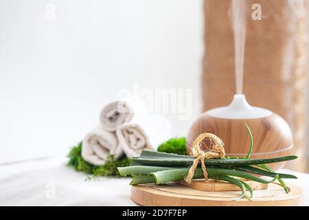 Composizione Spa con l'aroma di un moderno diffusore d'olio con prodotti per la cura del corpo . Asciugamani bianchi intrecciati e aloe vera . Il concetto di benessere per bo Foto Stock