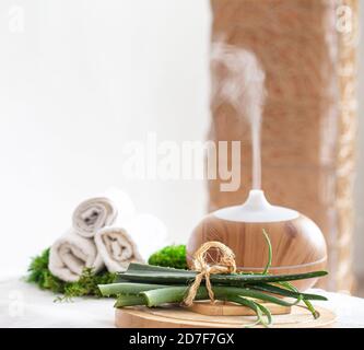 Composizione Spa con l'aroma di un moderno diffusore d'olio con prodotti per la cura del corpo . Asciugamani bianchi intrecciati e aloe vera . Il concetto di benessere per bo Foto Stock