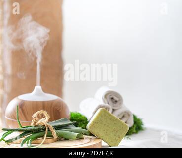 Composizione Spa con l'aroma di un moderno diffusore d'olio con prodotti per la cura del corpo . Asciugamani bianchi intrecciati e aloe vera . Il concetto di benessere per bo Foto Stock