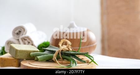 Composizione Spa con l'aroma di un moderno diffusore d'olio con prodotti per la cura del corpo . Asciugamani bianchi intrecciati e aloe vera . Il concetto di benessere per bo Foto Stock