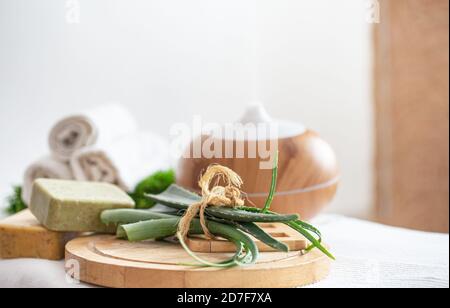 Composizione Spa con l'aroma di un moderno diffusore d'olio con prodotti per la cura del corpo . Asciugamani bianchi intrecciati e aloe vera . Il concetto di benessere per bo Foto Stock