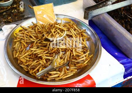 Larve fritte in Thailandia. Un disg di larve fritte profonde in vendita da un venditore di strada. Foto Stock