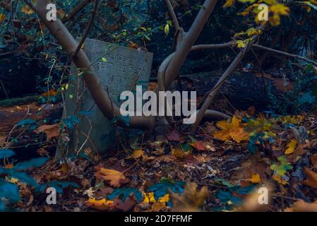 Vecchie tombe che nessuno si preoccupa più di, vecchie tombe in eccesso in un cimitero, autunnale, scuro Foto Stock