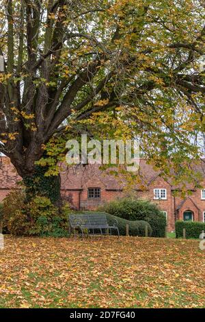 Colori autunnali sul villaggio verde, Great Brington, Northamptonshire, Regno Unito Foto Stock