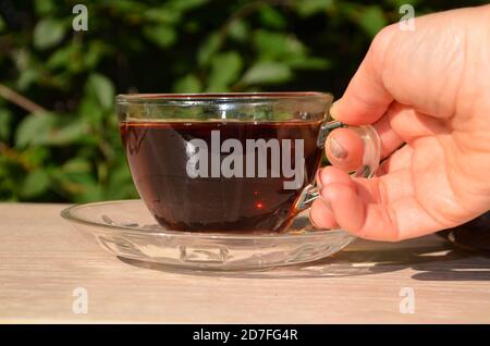 Una ragazza versa il tè da una teiera trasparente in una tazza trasparente su uno sfondo di verde fogliame Buongiorno, caffè all'aperto, energia boost. Tè Foto Stock