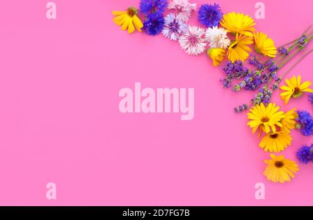 fiori selvatici multicolore su sfondo rosa vista dall'alto Foto Stock