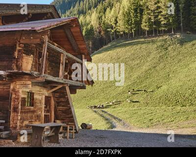 Montagna di legno nelle alpi italiane. Cabina di montagna in legno nelle alpi. Chalet solitario in montagna. Foto Stock