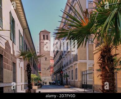 Centro storico di Madrid, Spagna. Strada tranquilla con palme e campanile a Madrid. Foto Stock