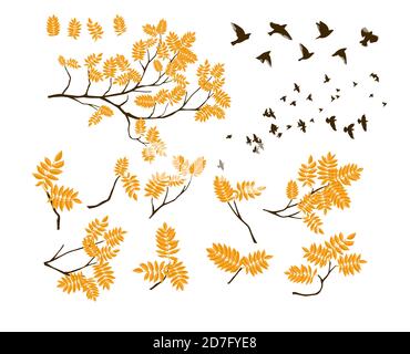 Una serie di ramoscelli con uccelli che volano. Ramo di albero con foglie di autunno gialle fresche. Illustrazione vettoriale Illustrazione Vettoriale