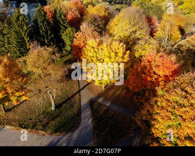 Il bellissimo e colorato McKillop Park a Londra, Ontario, Canada, nell'autunno del 2020. Luke Durda/Alamy Foto Stock