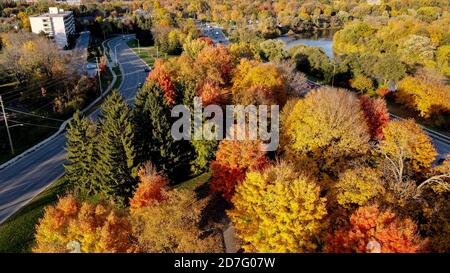 Il bellissimo e colorato McKillop Park a Londra, Ontario, Canada, nell'autunno del 2020. Luke Durda/Alamy Foto Stock