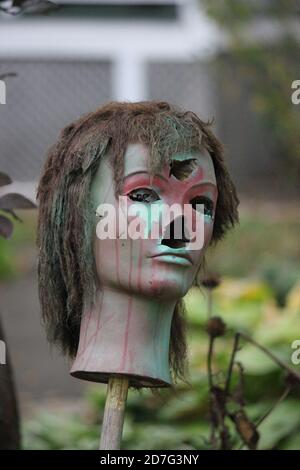 Una decorazione del prato di Halloween della testa tagliata di una donna. Foto Stock