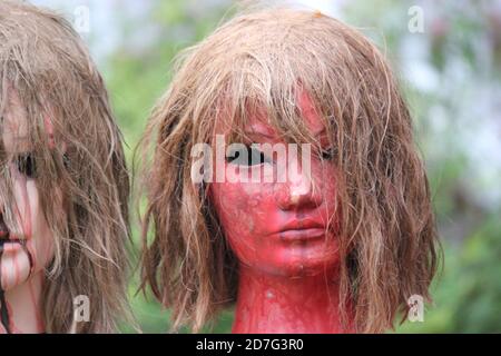 Una decorazione del prato di Halloween della testa tagliata di una donna. Foto Stock