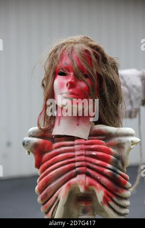 Una decorazione del prato di Halloween della testa tagliata di una donna. Foto Stock