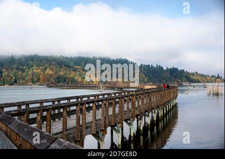 Passerella in legno sul delta del Nisqually nello stato di Washington Foto Stock