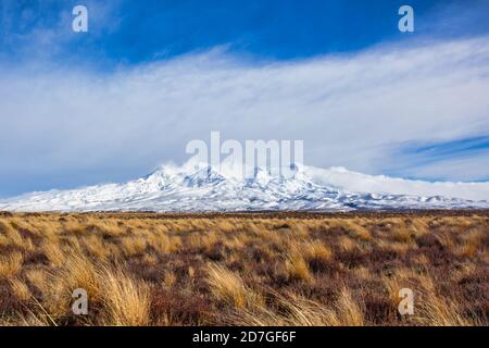 Solo un altro scatto di routine della strada del deserto, la semplicità ma la bellezza di tutto. Mi chiedo quanti turisti hanno guidato attraverso quando il tempo è c Foto Stock