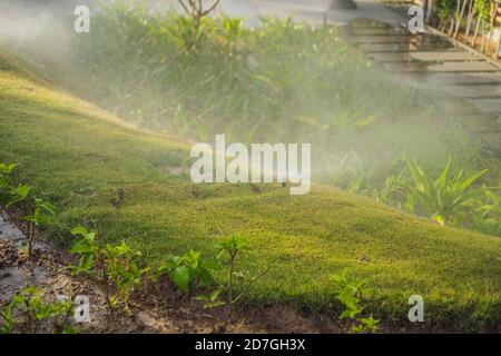 irrigatore da giardino in una soleggiata giornata estiva durante l'irrigazione del prato verde Foto Stock