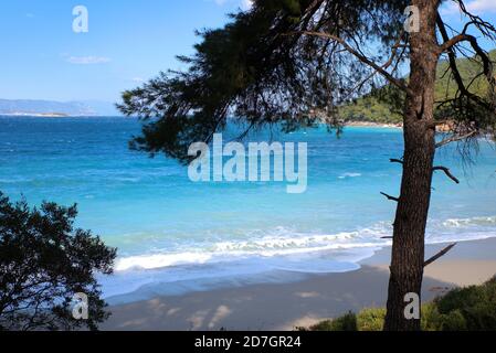 Isola di Skopelos . Sporades , Grecia Spiagge Bellissime . Foto Stock