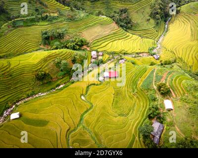 Ammira lo splendido paesaggio delle risaie a terrazza durante la stagione del riso maturo nella comune di Thong Nguyen, nel quartiere di Hoang su Phi, nella provincia di ha Giang, in Vietnam Foto Stock