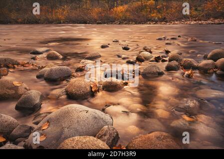 Paesaggio autunnale nel Nord Vancouver, Canada. Fiume che scorre su rocce contenenti foglie colorate con alberi sullo sfondo. Foto Stock