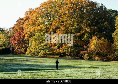 WIMBLEDON LONDRA, REGNO UNITO 23 OTTOBRE 2020. I membri del pubblico camminano tra i colori autunnali nel luminoso sole del mattino su Wimbledon Common Credit: amer Ghazzal/Alamy Live News Foto Stock