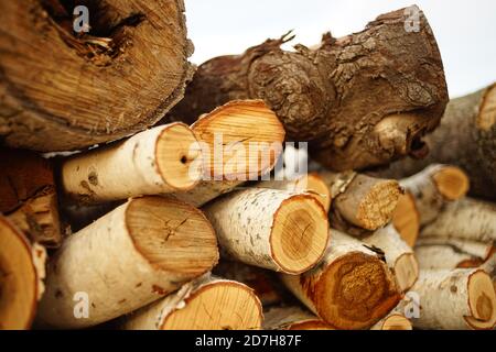 Fresco stack di tronchi di legno per l'inverno Foto Stock