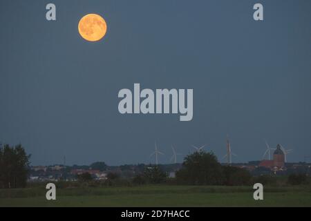 Umore serale con la luna, Germania, Meclemburgo-Pomerania occidentale, Ribnitz-Dammgarten Foto Stock