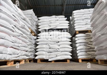 Magazzino riempito con sacchi pesanti bianchi che giacciono su pallet Foto Stock