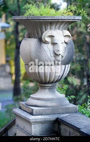 Testa di pecora/RAM sull'urna, Palacio Portales, Cochamba, Bolivia Foto Stock