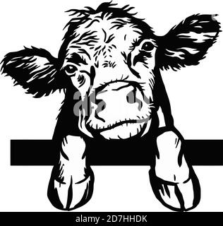 Vitello da peeking disegnato a mano. Polpaccio, toro, bovino illustrazione vettoriale. Raccolta di animali da fattoria. Grafica in bianco e nero. Illustrazione Vettoriale
