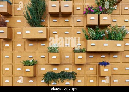 Abbellimento paesaggistico e verticale letto di fiori parete di scatole con esterno piante Foto Stock