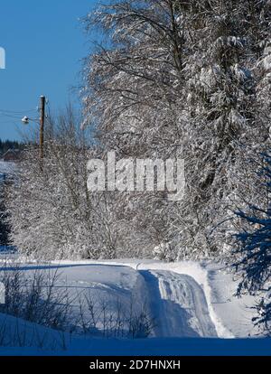 Campagna secondaria strada alpina in remoto villaggio di montagna, nevicate e recinzione in legno sul lato del percorso Foto Stock