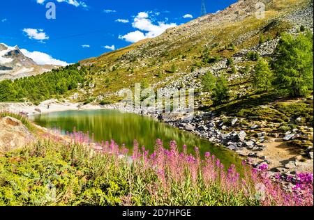 Lago Grunsee vicino a Zermatt in Svizzera Foto Stock