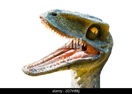 Testa di dinosauro isolati su sfondo bianco Foto Stock