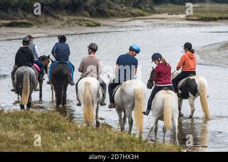 Un gruppo di cavalieri che cavalcano sulle rive del fiume Gannel a bassa marea a Newquay in Cornovaglia. Foto Stock
