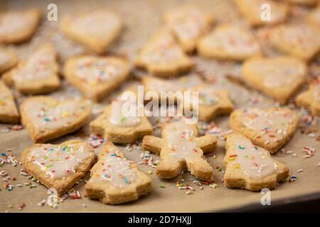 Cottura di Natale: Biscotti shortcrosta con glassa di zucchero su carta da forno. Profondità di campo poco profonda Foto Stock