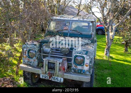 Licheni che crescono su una vecchia Land Rover abbandonata a Bosigran, Cornovaglia, Regno Unito. Foto Stock