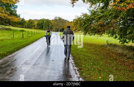 Dalmeny Estate, Edimburgo, Scozia, Regno Unito, 23 ottobre 2020. UK Weather: Una mattina nuvolosa umida non sminuisce i colorati alberi d'autunno come un ciclista passa un uomo anziano con le mani in tasca cammina su una strada bagnata Foto Stock