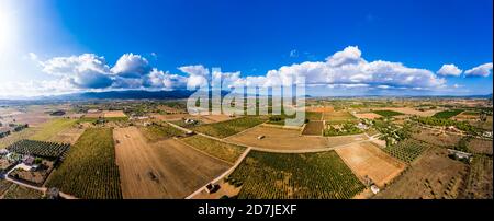 Vista panoramica dei campi di ulivi contro il cielo nuvoloso in giornata di sole, Maiorca, Spagna Foto Stock