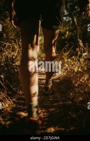 Camminando su un sentiero stretto a Sierra De Hornachuelos, Cordoba, Spagna Foto Stock