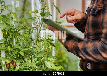 Uomo che usa un tablet digitale mentre si trova in una casa verde Foto Stock