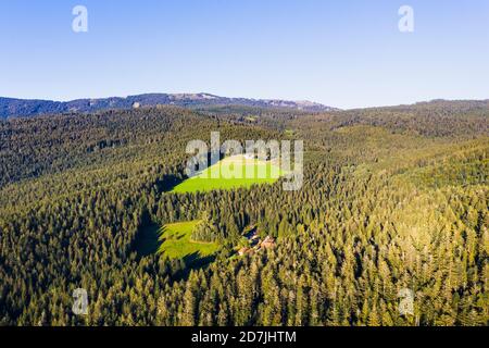 Vista sul drone delle radure nella Foresta Bavarese Foto Stock