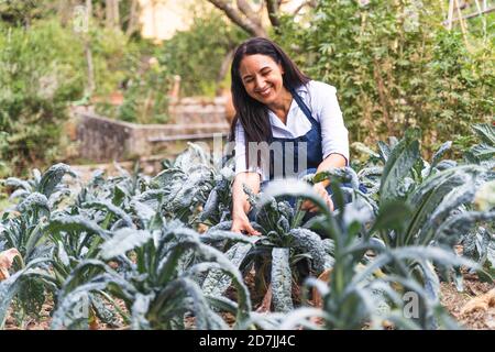 Felice donna matura accovacciata mentre si guardano le foglie fresche di kale coltivare in orto Foto Stock