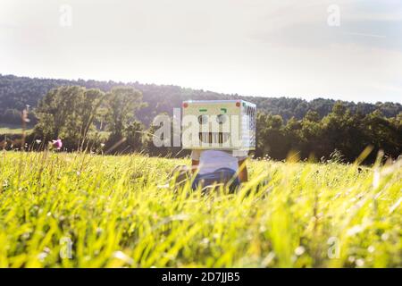 Ragazzo con scatola di cartone sorridente sul viso seduto sull'erba in prato Foto Stock