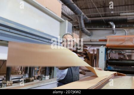 Uomo che usa la macchina di laminazione del legno mentre si trova in fabbrica Foto Stock