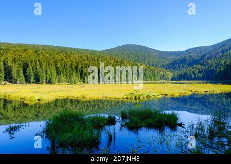 Vista panoramica sul lago Kleiner Arbersee e sulla foresta di abeti circostanti in estate Foto Stock