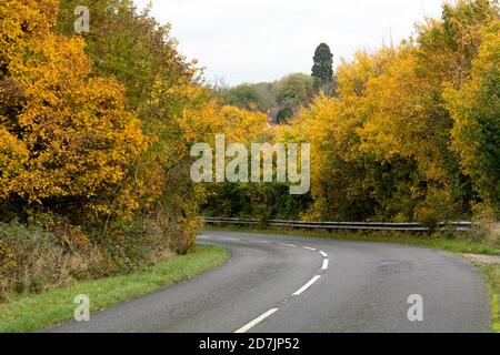 Una strada di campagna in autunno, Warwickshire, Regno Unito Foto Stock